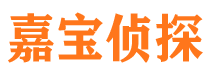 白河侦探公司